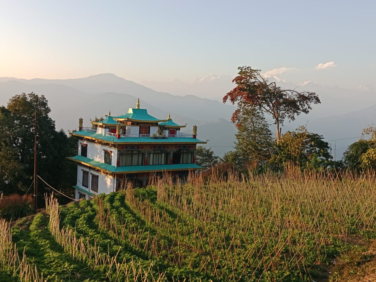 Best homestay in Fiklegaon – cozy, comfortable accommodation with scenic views and warm hospitality